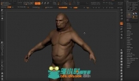 Human Zbuilder人体角色模型Zbrush插件V2版 Human Zbuilder v2 Win Mac