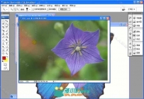 DW 入门到精通全套自学精选教程