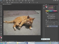 新电脑课堂：Photoshop CS6图像处理