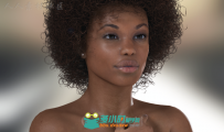 Poser人物造型设计软件V11.0.2.31562版 Smith Micro Poser Pro 11.0.2.31562