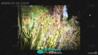 PS高效批处理自动化技术视频教程 Learning Photoshop Automation