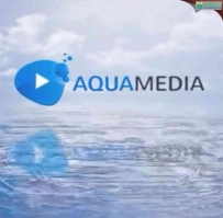 Videohive水波纹颤动Logo演绎动画AE模板