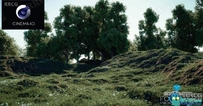3dquakers Forester植物树木生成动画C4D R18-R25插件V1.5.0版 附扩