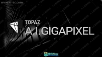 Topaz Gigapixel AI图像智能处理软件V5.1.7版