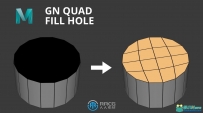 GN Quad Fill Hole顶部快速四边形拓扑Maya插件v4.17版