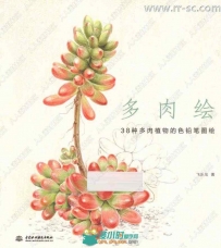 38种多肉植物彩色铅笔图绘书籍杂志