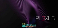 Rowbyte Plexus三维粒子AE插件V3.1.6版