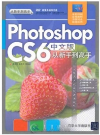 Photoshop CS6中文版从新手到高手