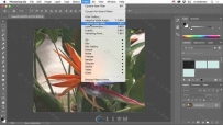 PS中Camera Raw插件图像修饰实例训练视频教程 OREILLY ADOBE CAMERA RAW WORKFLOW