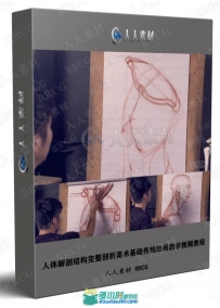 人体解剖结构完整剖析美术基础传统绘画教学视频教程