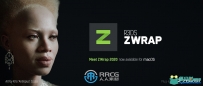 ZWrap几何拓扑ZBrush插件V2023.7.2版