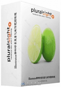Illustrator静物场景矢量化制作视频教程 PLURALSIGHT CREATING A REALISTIC STILL ...