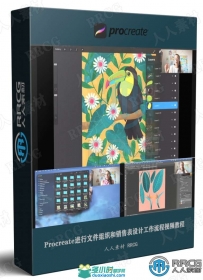 Procreate进行文件组织和销售表设计工作流程视频教程