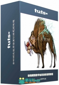动物解剖数字绘画训练视频教程 Tuts+ Premium Mastering Animal Anatomy in Digita...