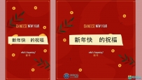春节中国新年新春节日简洁卡片式庆祝动画AE模板