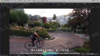 【中文字幕】After Effects 2020基础入门技术训练视频教程