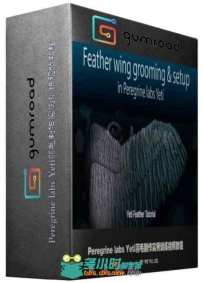 Peregrine labs Yeti羽毛制作实例训练视频教程 Gumroad Feather wing
