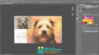 高端实用的Photoshop数字宠物绘画视频教程