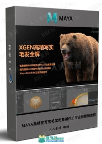 MAYA高精度写实毛发完整制作工作流程视频教程