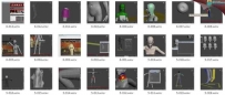3dmax中文教程 莫丽娜高级角色建模、渲染、动画教程