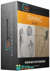 动物手绘艺术技巧视频教程 Gumroad Foundation Patreon Term 10 Dynamic Sketching...