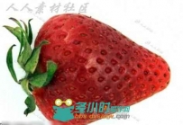 超逼真诱人的水果贴图素材