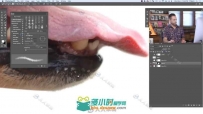 PS精准抠像与遮罩高级技术训练视频教程