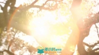 智能电视TVPAD形象篇温馨家庭看电视广告高清实拍视频素材