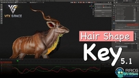 Hair Shape Key毛发动画Blender插件V5.3版