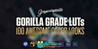 100种LUTs专业电影调色预设文件 GSG Grade LUTs
