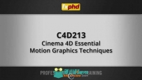 Cinema4D高级动画技术视频教程