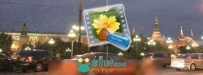 Neat Video Pro v 3.2最好降噪 for Final Cut Pro/ Motion