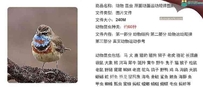 动物昆虫运动规律素材图解合集