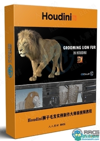Houdini狮子毛发实例制作大师级视频教程