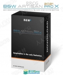 BW Artisan Pro X黑白明度控制扩展面板PS插件V2021版