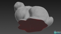 Quad Cap Pro自动多边形3dsmax 2023插件V1.01版