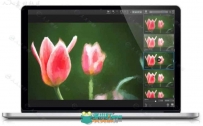 Topaz Impression手绘艺术特效PS插件V2.0.4版 Topaz Impression 2.0.4 Wi...