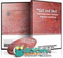 《Mocha视觉特效视频教程》Curious Turtle Cut and Shut Paint & Roto Power