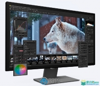 SILKYPIX Developer Studio数码照片处理软件V11.1.10.0版