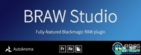 BRAW Studio Blackmagic RAW素材导入插件V2.5.0版
