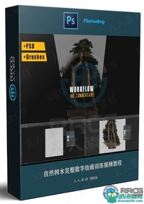 自然树木完整数字绘画训练视频教程