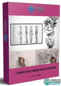 人物角色结构分解剖析绘画技术训练视频教程
