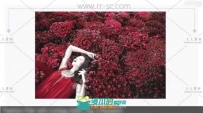 唯美时尚婚礼摄影视频教程
