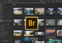 Adobe Bridge CC 2024资源管理软件V14.0.1.137版