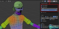Weight Paint Tools权重分配工具Blender插件V2.1.7版
