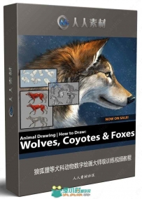 狼狐狸等犬科动物数字绘画大师级训练视频教程