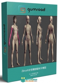 Zbrush女性精致躯体3D模型
