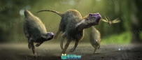 PeregrineLabs Yeti皮毛羽毛Maya插件V3.7.2版