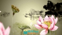 中国风水墨荷花-经典素材