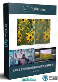 LR初学者图像编辑预设调色后期处理视频教程